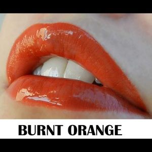 LipSense lipstick Burnt Orange NWT 🦄